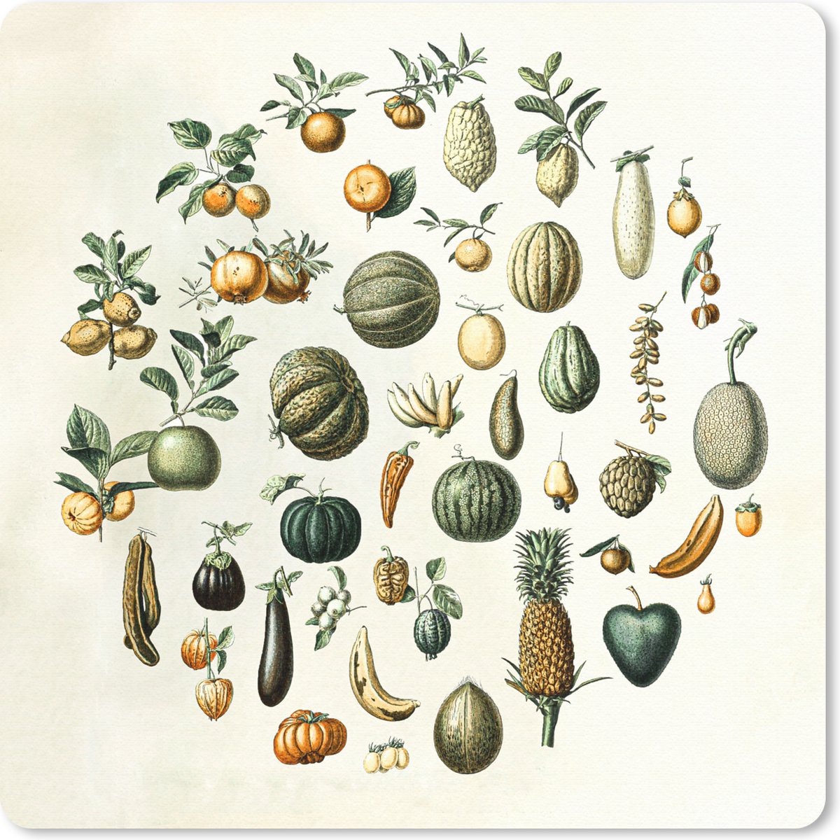 Muismat 20x20 cm - Mousepad Groenten - Fruit - Vintage - Muismatten
