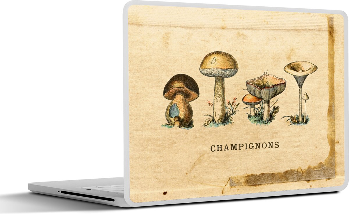 Laptop sticker - 14 inch - Paddenstoel - Herfst - Natuur - 32x5x23x5cm - Laptopstickers - Laptop skin - Cover