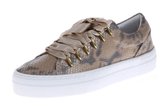 Gouden HIP D1278 Python Sneaker