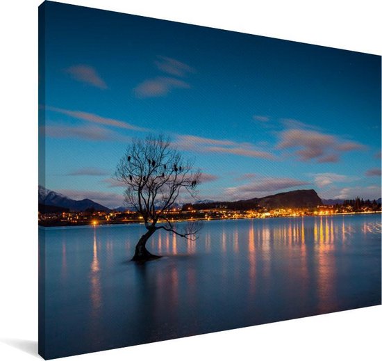 The Wanaka Tree at Lake Wanaka in New Zealand Canvas 120x80 cm - Tirage photo sur toile (Décoration murale salon / chambre)