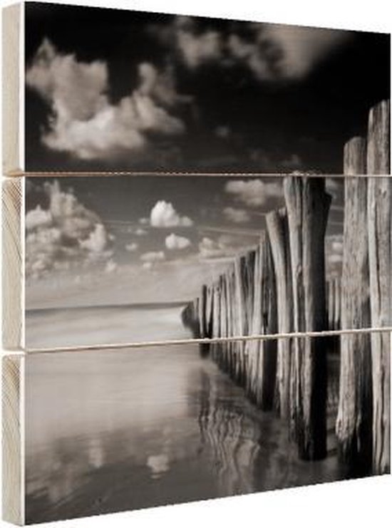 Zwart wit op hout 80x60 - Stormachtig weer zwart-wit fotoprint Hout -... | bol.com