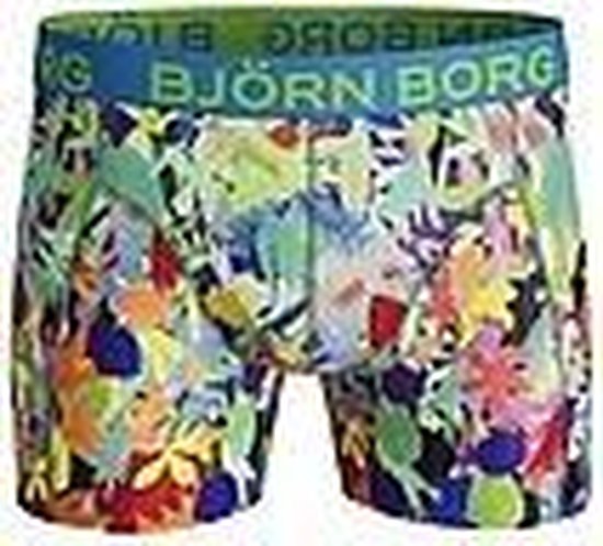 Offer linnen koolstof Bjorn Borg Boxershort 1-Pack Microfiber Neon Flower Biscay Green | bol.com