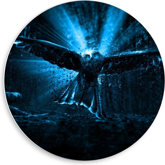 Forex Wandcirkel - Vliegende Uil bij Blauwkleurig Licht - 50x50cm Foto op Wandcirkel (met ophangsysteem)