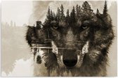 Schilderij Wolf in bos, 4 maten, bruin (wanddecoratie)