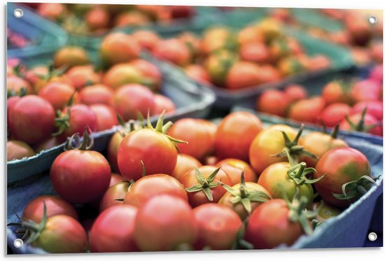 Tuinposter – Bakjes met Tomaten - 90x60cm Foto op Tuinposter  (wanddecoratie voor buiten en binnen)