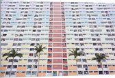 Dibond - Kleurrijk Appartementencomplex met Palmbomen - 120x80cm Foto op Aluminium (Wanddecoratie van metaal)