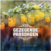 Kaart - gezegende paasdagen gele bloesem - Bijbel - Christelijk - Majestic Ally - 6 stuks
