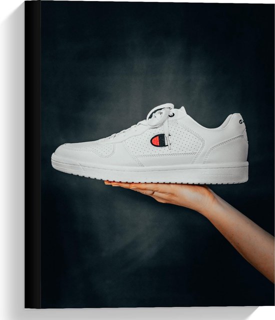 Toplam Sinekkapan larvası ihlal etmek champion schoenen -  missionariesoffatima.org