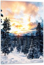 Tuinposter – Besneeuwde Bomen / Bergen - 80x120cm Foto op Tuinposter  (wanddecoratie voor buiten en binnen)