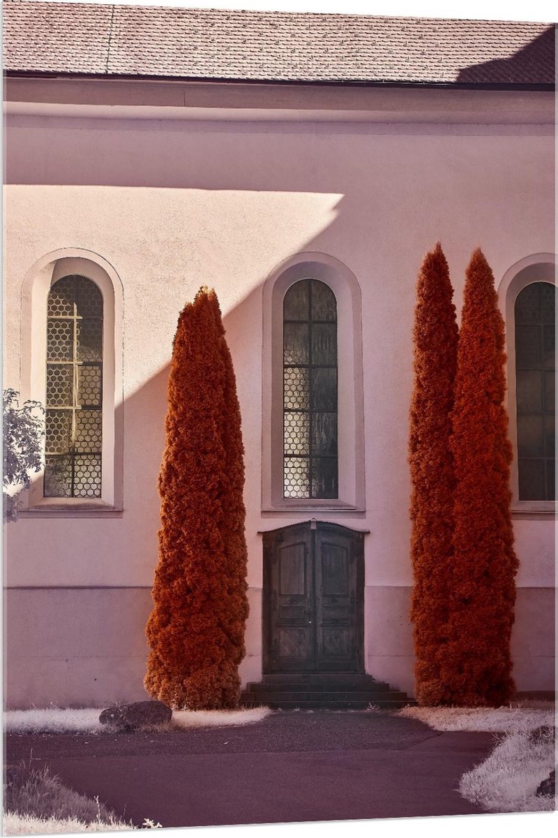 Plexiglas - Ingang met Hoge Bomen - 80x120cm Foto op Plexiglas (Met Ophangsysteem)