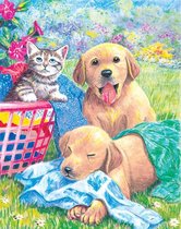 Kleuren op nummer  - Kitten en puppy's bij de wasmand 22.23x29.85cm