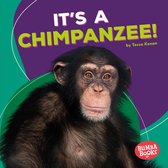 Bumba Books ® — Rain Forest Animals - It's a Chimpanzee!