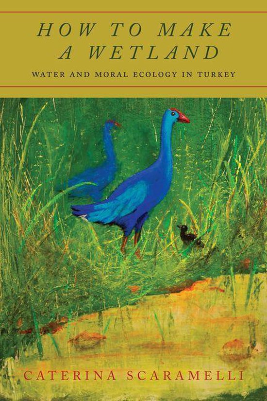 How to Make a Wetland - cover