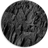 Forex Wandcirkel - Boomschors (zwart/wit) - 60x60cm Foto op Wandcirkel (met ophangsysteem)