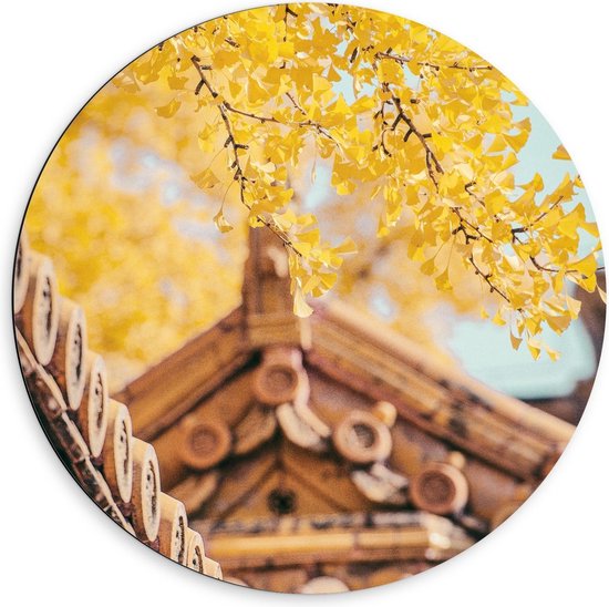 Dibond Wandcirkel - Groene Boom bij Houten Huisje - 60x60cm Foto op Aluminium Wandcirkel (met ophangsysteem)