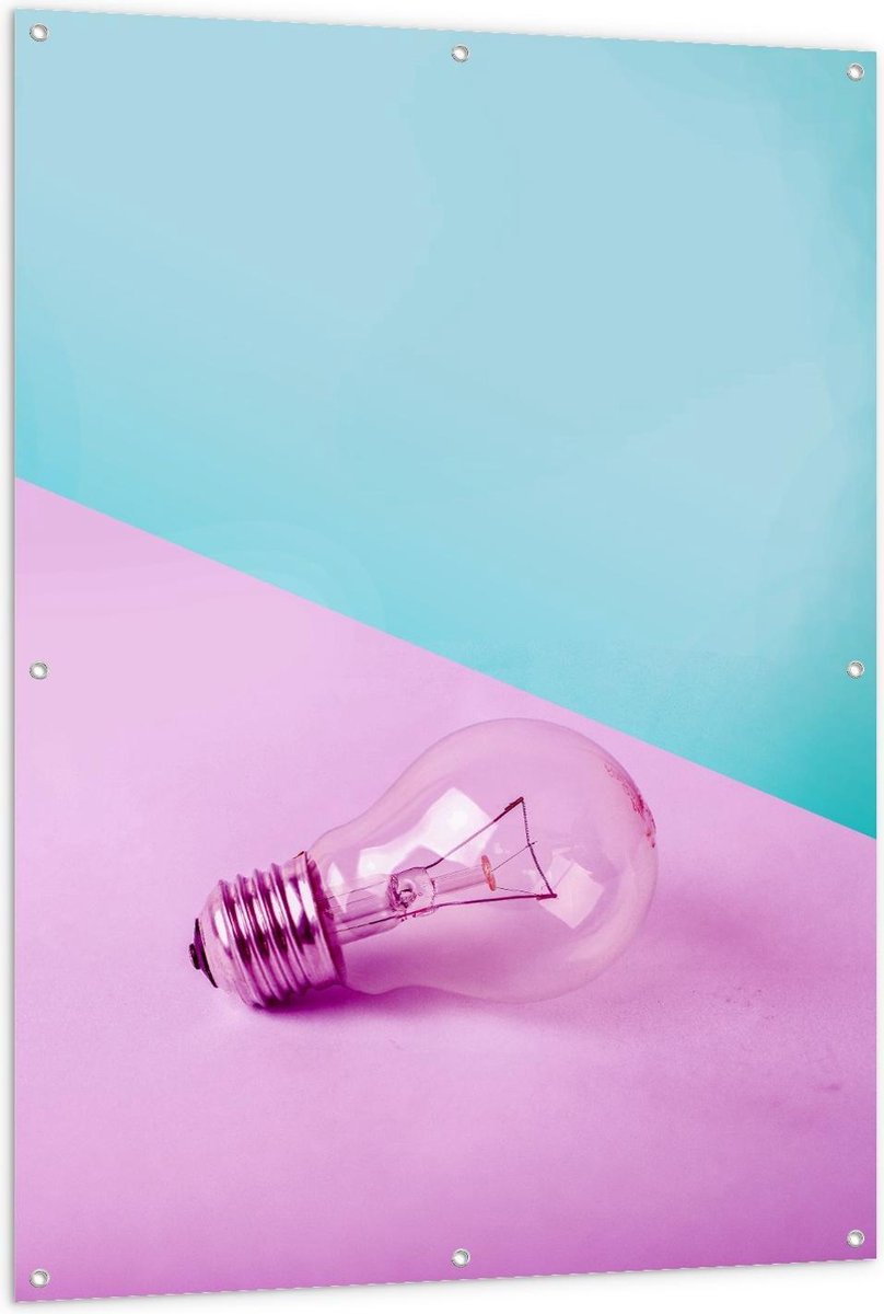 Tuinposter – Gloeilamp Roze/Blauwe Achtergrond - 100x150cm Foto op Tuinposter (wanddecorat