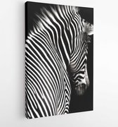 Black and white zebra image at an interesting angle showing the head and shoulders. Zebra is looking a little away from the camera and isolated on a black background - Modern Art C