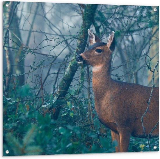 Tuinposter – Hert bij Takken van Bos - 100x100cm Foto op Tuinposter  (wanddecoratie voor buiten en binnen)