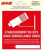 Pickup Pictogram 15x15 cm - Site sous surveillance video