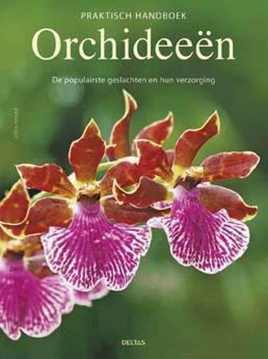 Praktisch handboek orchideeën – Jorn Pinkse