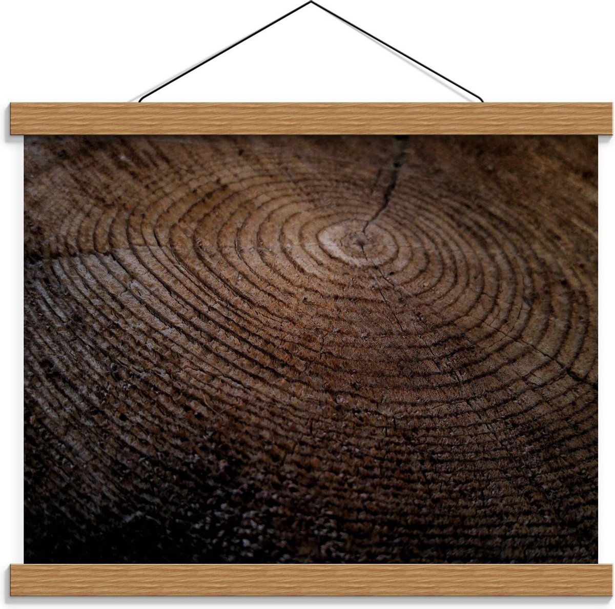 Schoolplaat – Doorgesneden Boomstam - 40x30cm Foto op Textielposter (Wanddecoratie op Scho