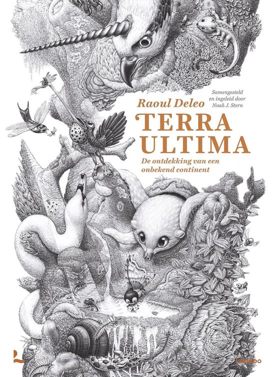 Terra ultima, de ontdekking van een onbekend continent