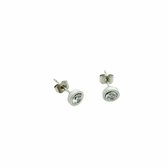 Aramat jewels ® - Oorbellen rond transparant zirkonia chirurgisch staal zilverkleurig 6mm
