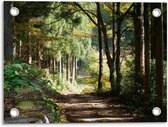 Tuinposter – Weg in het Bos - 40x30cm Foto op Tuinposter  (wanddecoratie voor buiten en binnen)