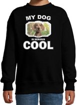 Weimaraner honden trui / sweater my dog is serious cool zwart - kinderen - Weimaraners liefhebber cadeau sweaters 9-11 jaar (134/146)