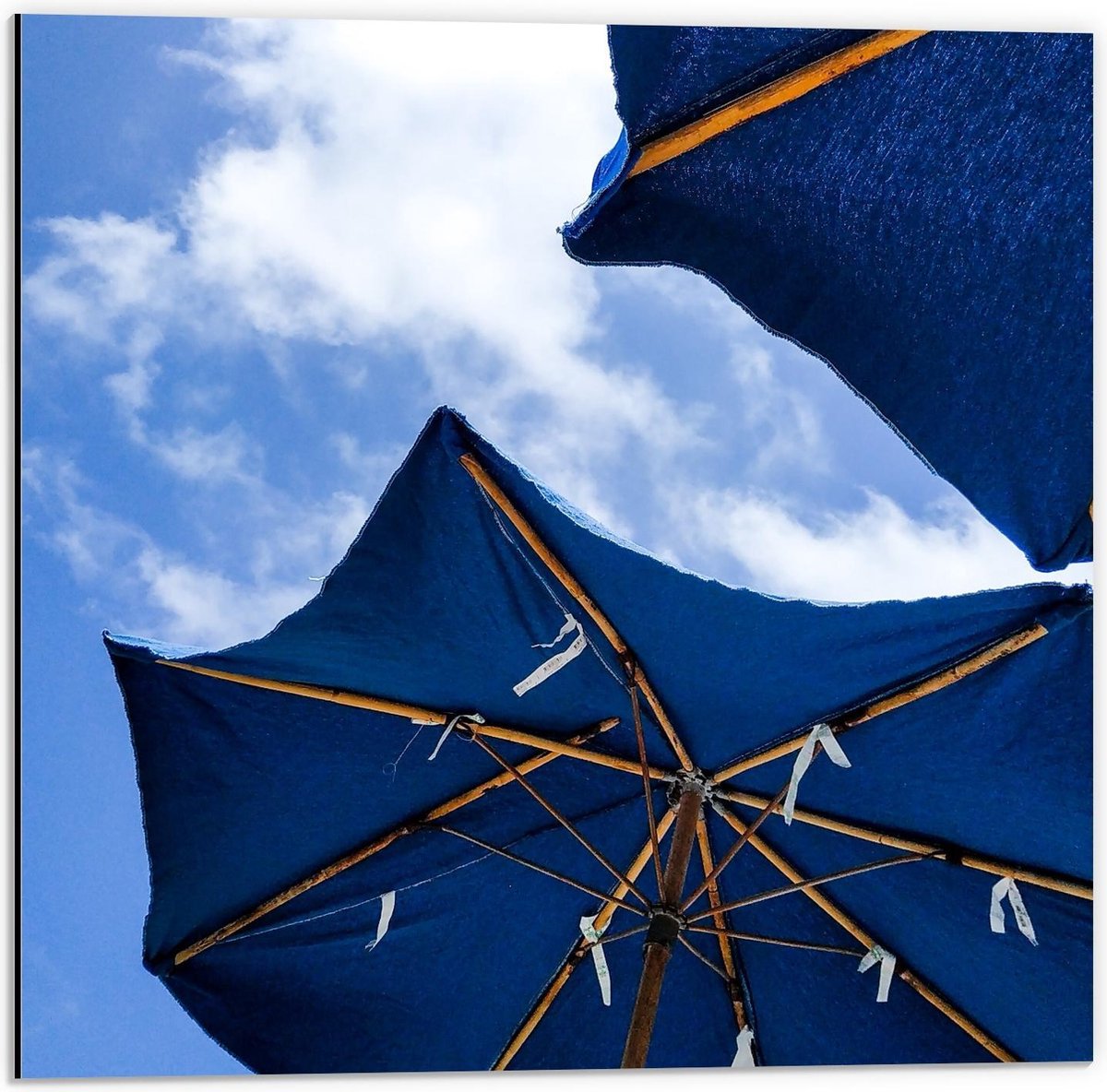 Dibond - Onderaanzicht van Blauwe Parasols - 50x50cm Foto op Aluminium (Met Ophangsysteem)