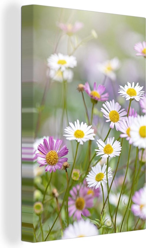 Gros plan de marguerites 120x180 cm - Tirage photo sur toile (Décoration murale salon / chambre) / Peintures Fleurs sur toile XXL / Groot format!