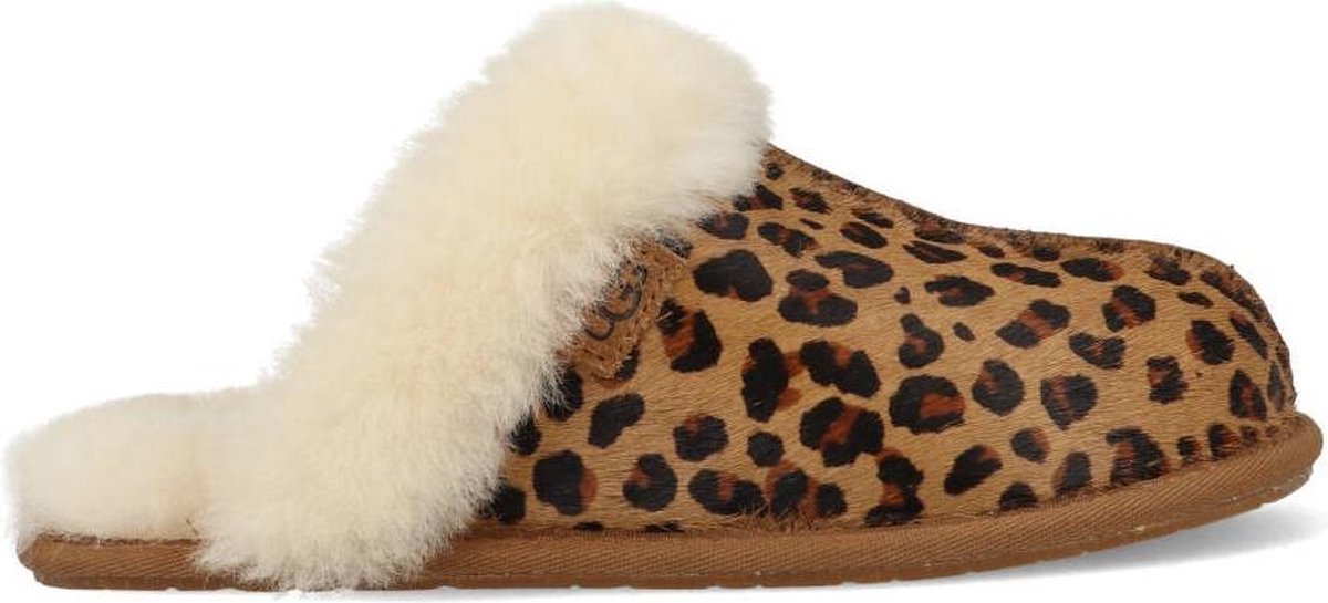 Joseph Banks Expertise Slip schoenen UGG Scuffette II Leopard Dames Sloffen - Natural - Maat 36 | bol.com