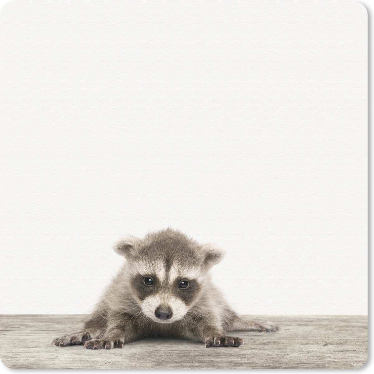 Muismat 30x30 cm - Mousepad Wasbeer - Dieren - Kinderen - Jongens - Meisjes - Muismatten