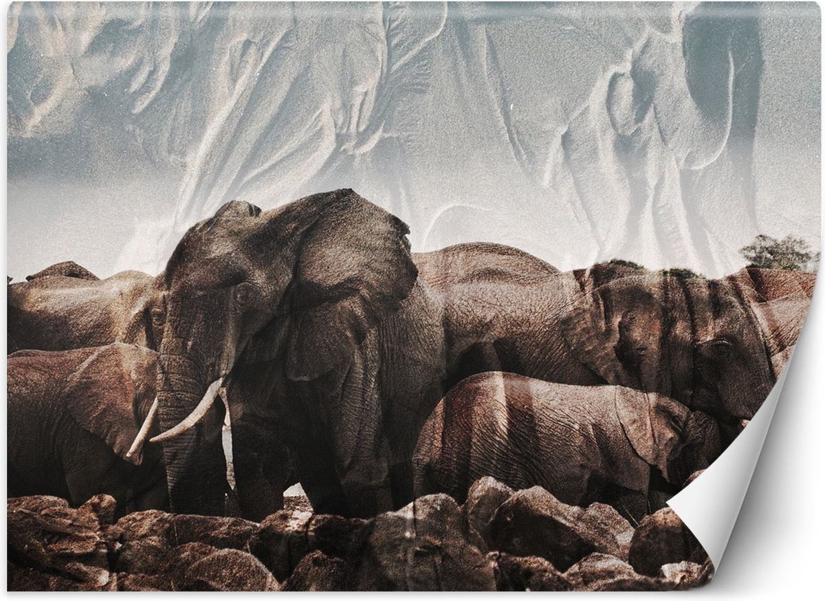 Trend24 - Behang - Olifanten In Een Kudde - Behangpapier - Fotobehang Dieren - Behang Woonkamer - 100x70x2 cm - Incl. behanglijm