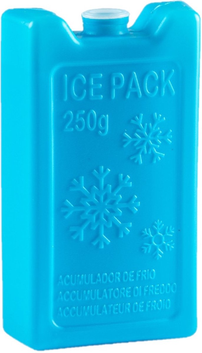 6x stuks 250 grams koelelementen 13 x 7.5 x 3 cm blauw plastic van Benson — afbeelding 2