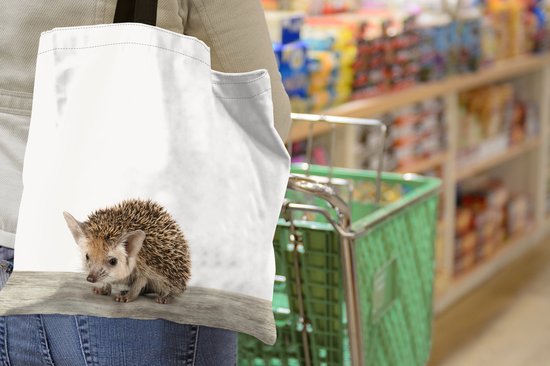 Sac bandoulière - Sac de plage - Shopper Chambre Chambre de bébé - Bébé Hérisson - Chambre enfant - Chambre garçon - Chambre fille - 40x40 cm - Sac coton