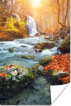 Affiche Nature - Soleil - Automne - 60x90 cm