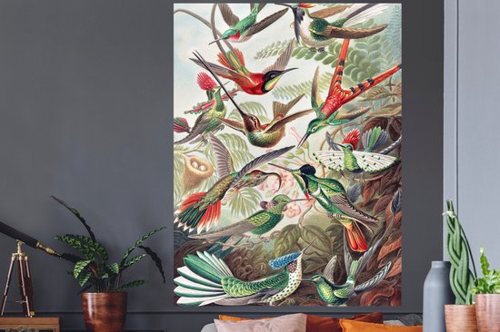 Stickers muraux - Feuille Autocollant - Colibri - Vintage - Ernst Haeckel - Vogel - Art - Nature - 120x160 cm - Feuille Adhésive - Stickers muraux Chambre Enfant - Papier Peint Auto Adhésif XXL