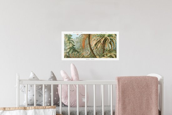 Stickers muraux Muraux - Filicinae - Vintage - Maîtres Anciens - Fougères - 40x20 cm - Film Adhésif