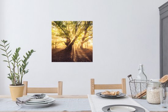 Stickers Stickers muraux - Arbre - Forêt - Soleil - 50x50 cm - Film adhésif