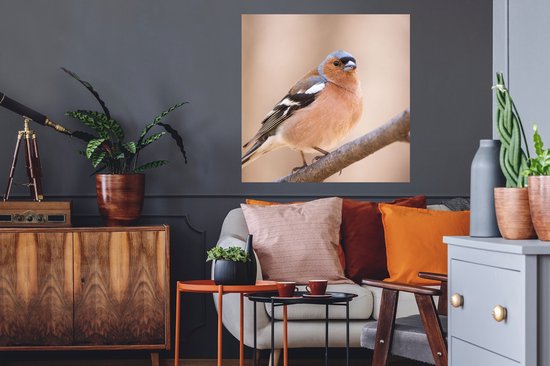 Stickers muraux - Film autocollant - Vogel - Animaux - Pinson - 50x50 cm - Film adhésif - Stickers muraux Chambre d'enfant - Papier peint autocollant - Papier peint autocollant - Film autocollant