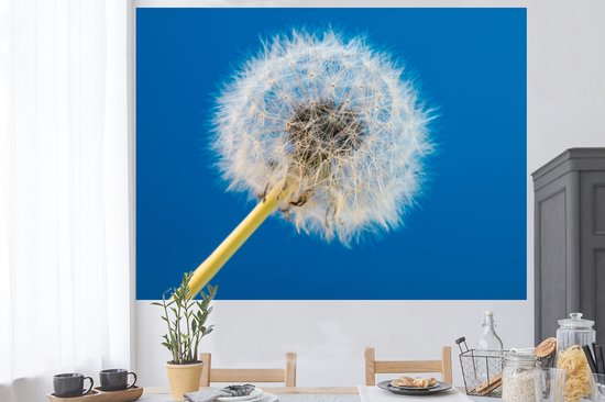 Stickers muraux - Film autocollant - Pissenlit - Bloem - Terrasse - 160x120 cm - Film adhésif - Stickers muraux Chambre d'enfant - Papier peint autocollant XXL