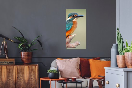 Stickers muraux - Vogel - Martin-pêcheur - Branche - 40x80 cm - Film adhésif