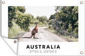 Muurdecoratie Kangoeroe - Australië - Dieren - 180x120 cm - Tuinposter - Tuindoek - Buitenposter