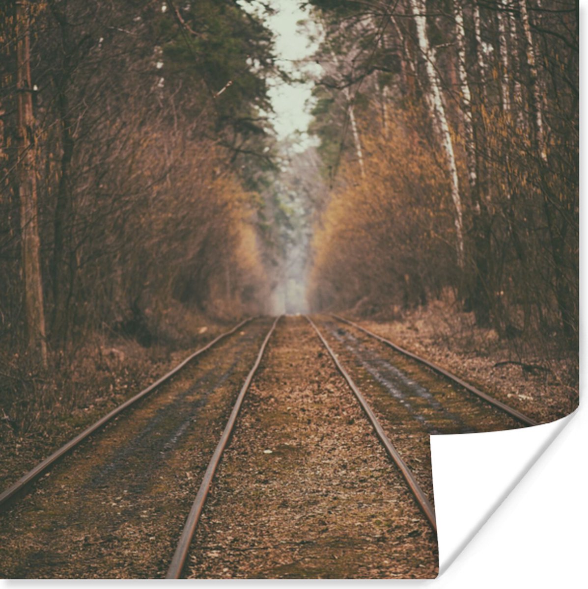 Poster Treinspoor - Pad - Bos - Boom - 50x50 cm