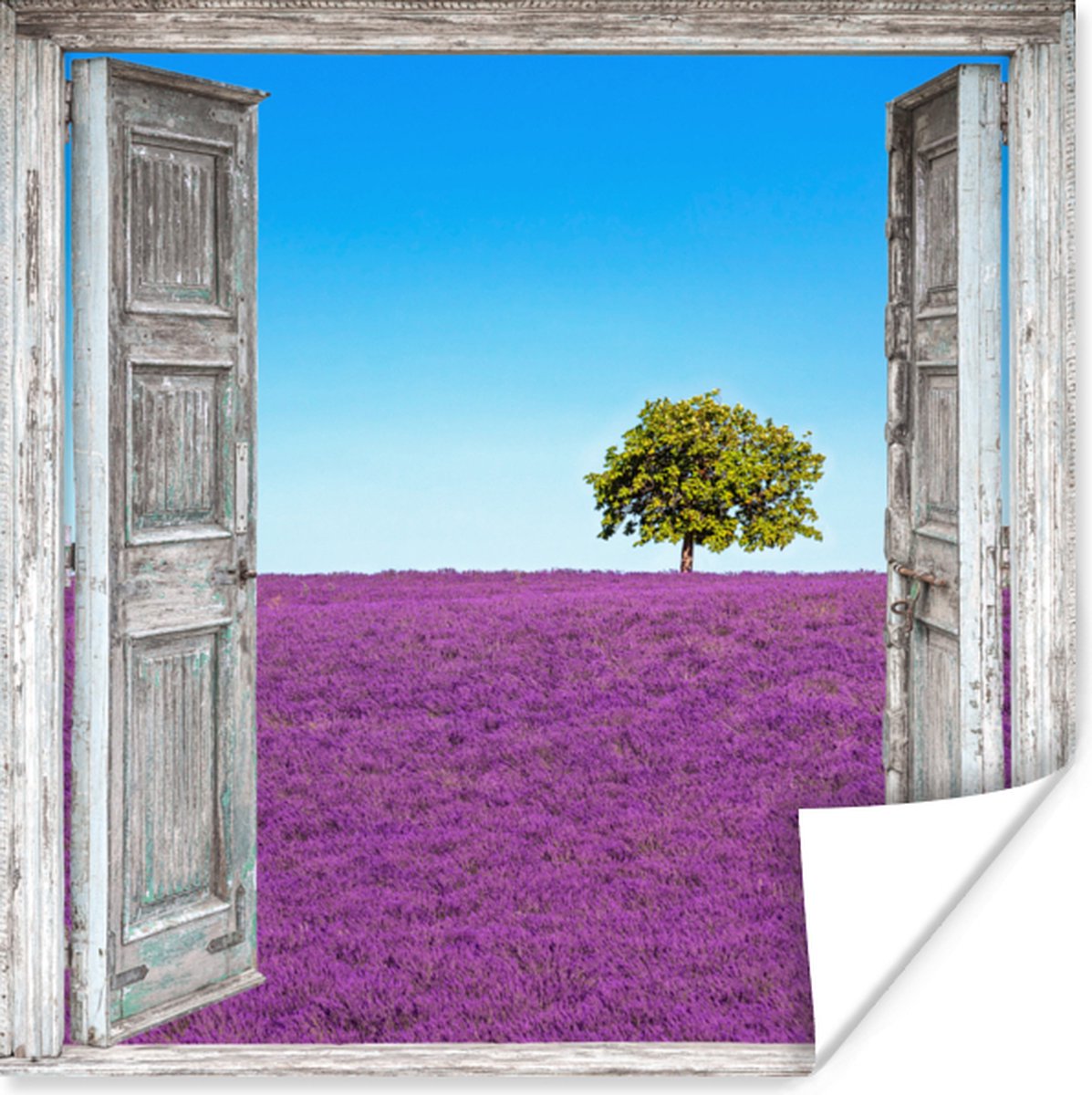 Poster Bloemen - Lavendel - Doorkijk - 50x50 cm