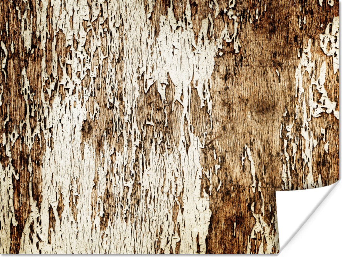 Poster Hout - Rustiek - Boom - 80x60 cm