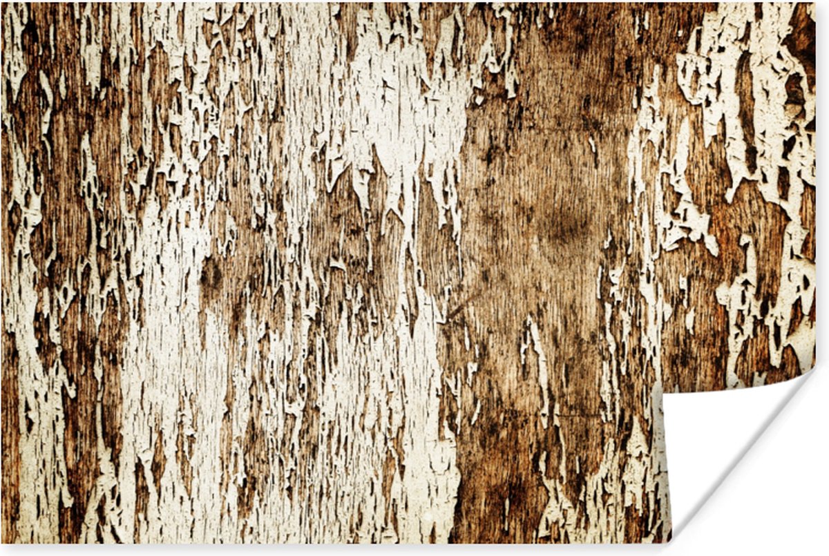 Poster Hout - Rustiek - Boom - 90x60 cm