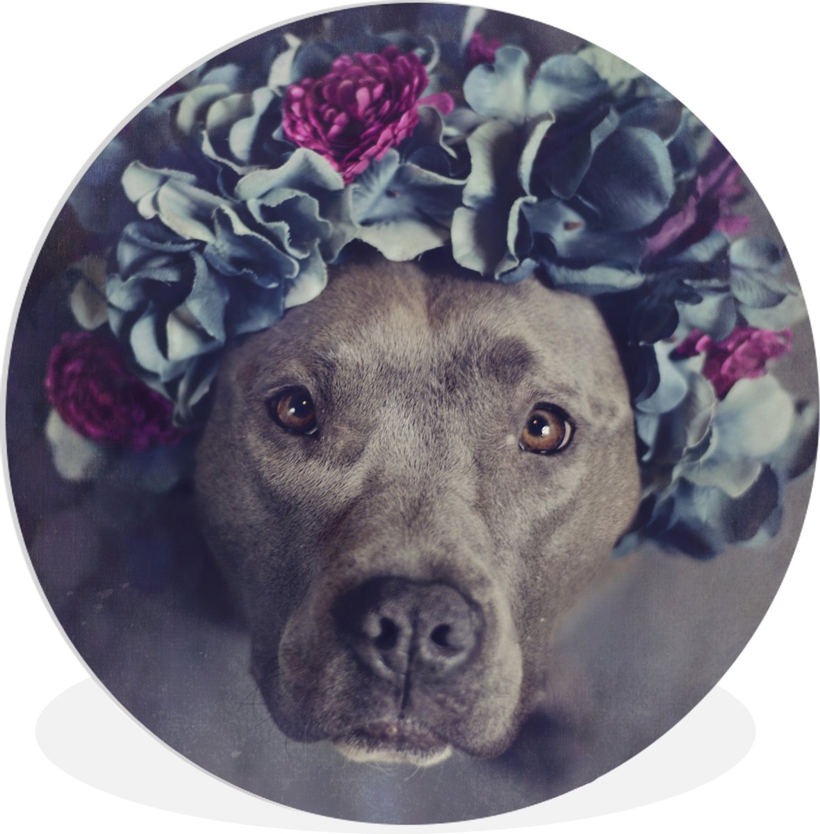 WallCircle - Wandcirkel - Muurcirkel Binnen - Een Amerikaanse staffordshire terriër met een bloemenkroon - 120x120 cm - Wanddecoratie - Ronde Schilderijen XXL op Prijzenvolger.com