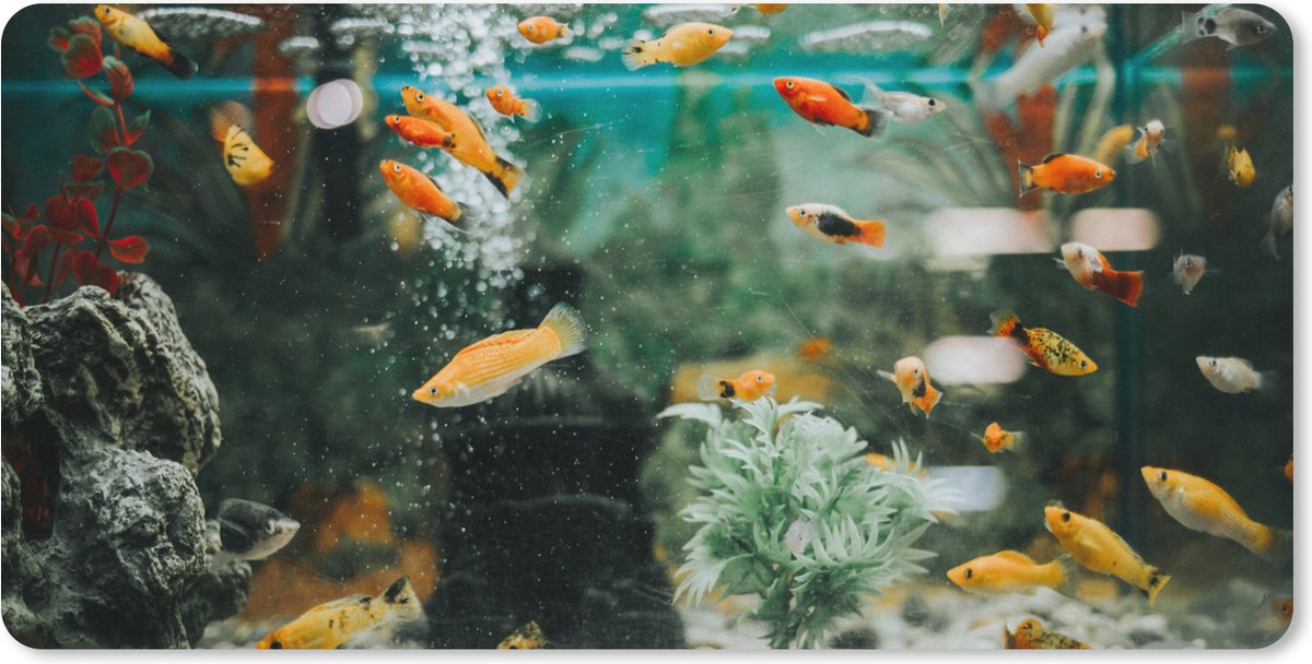Muismat XXL 80x40 cm - Bureau onderlegger - Bureau mat Kleine visjes in een aquarium - Bureaumat - Gaming mousepad xl - Bureaulegger groot - Computer deskmat